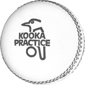 Kookaburra Practice White Cricket Leather Ball